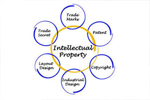 Intellectual Property Rights